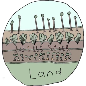 Land