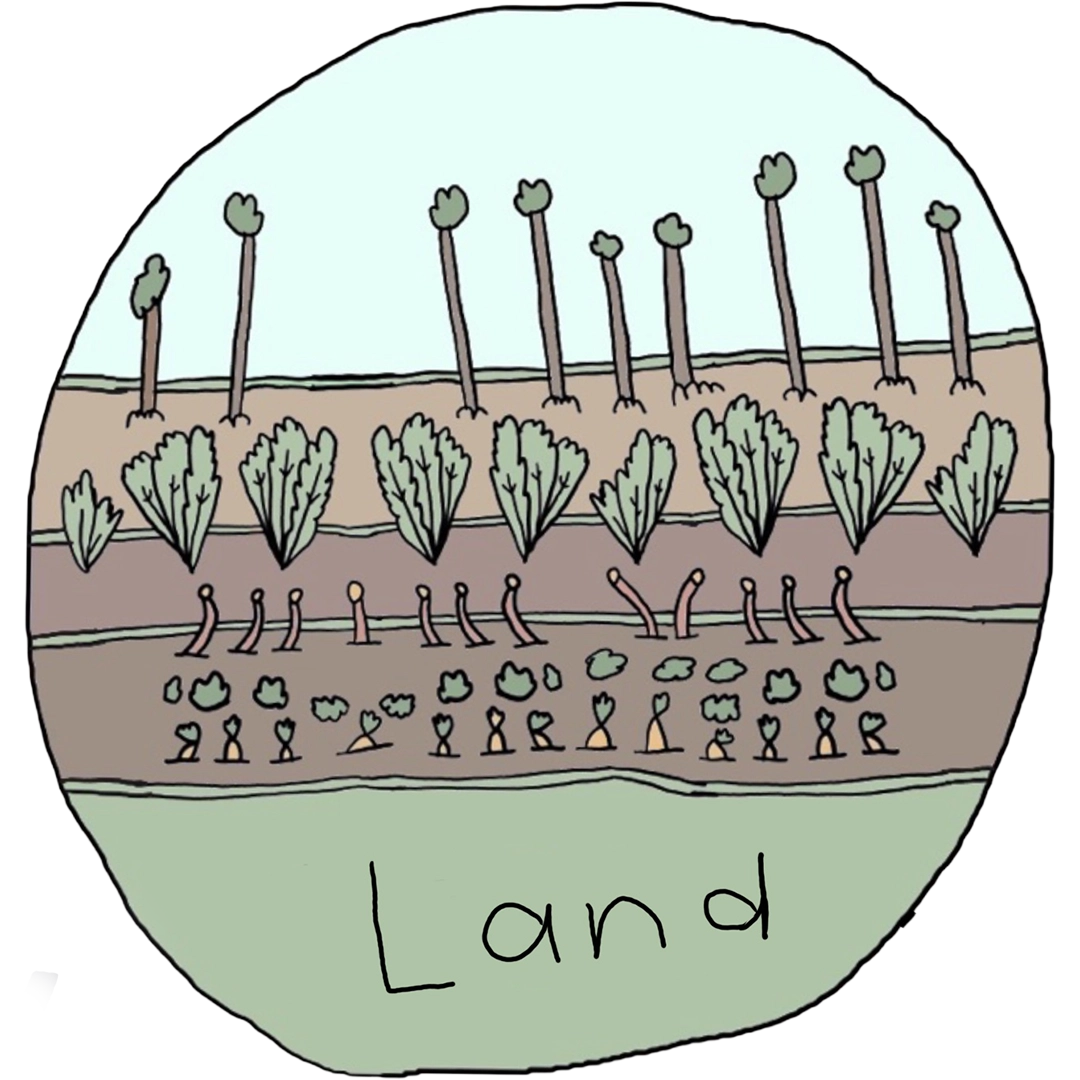 Land