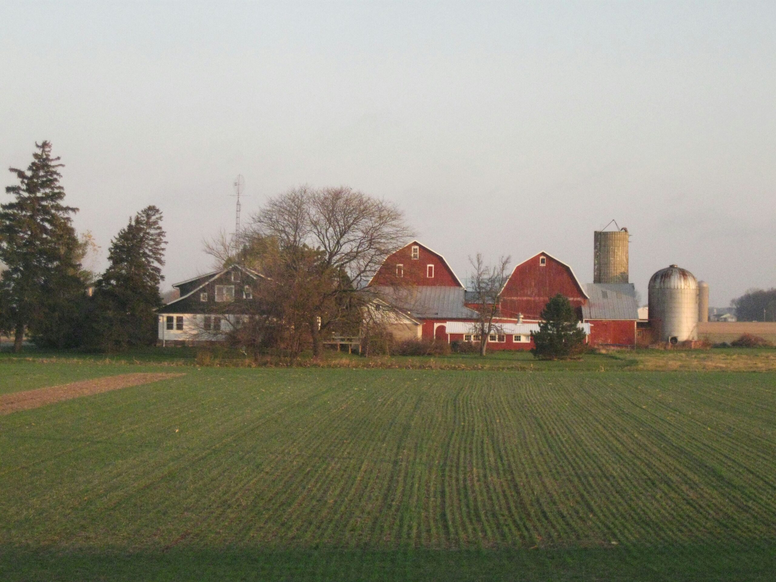 A Letter to Us, and a Story We Hear Too Often - The Farmers Land Trust