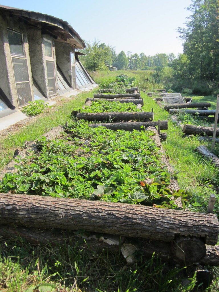 Women-led farmland stewardship