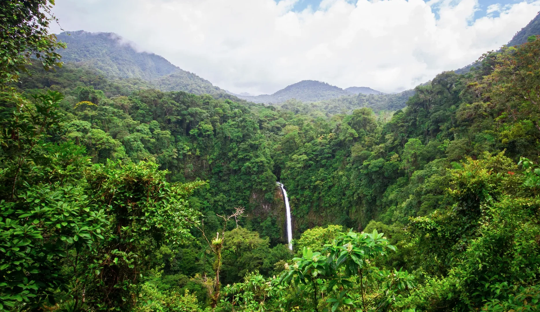 Costa Rica Escape | Winner’s Choice of Two Luxury Villas 7 Nights | Accommodations for up to 6 or 10 Guests - Image 17